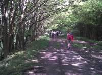 <h4><a href='/locations/B/Barnard_Castle'>Barnard Castle</a></h4><p><small><a href='/companies/S/SDLUR'>SDLUR</a></small></p><p>A happy group of Railway Ramblers enjoying a shaded section of the SDLUR approaching the site of Tees viaduct in May 2010 see image <a href='/img/31/904/index.html'>31904</a>. View East; the Middleton-in-Teesdale branch merged on the left near this point. 4/19</p><p>23/05/2010<br><small><a href='/contributors/Ken_Strachan'>Ken Strachan</a></small></p>