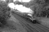 60009 <I>Union of South Africa</I> has just cleared Kippenross Tunnel south of Dunblane in June 1965 hauling one of the Aberdeen - Glasgow 3 hour express services. [See image 50479] <br><br>[Colin Miller /06/1965]