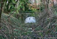 The site of Lasswade station in February 2015, looking towards the bricked up west portal of Broomieknowe Tunnel. Photographed through a gap in the fence, with the area behind the camera now a housing development. The single platform ran up to the left side of the tunnel mouth and the remains now lie beneath the undergrowth. The east portal of the tunnel is in an even more overgrown and inaccessible cutting just short of Bonnyrigg High Street. [See image 10232] <br><br>[John Furnevel 20/02/2015]