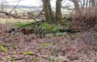 Revealed by the die-back of vegetation, the ramp of the loading bank at Greenan Siding between Alloway and Heads of Ayr in February 2015. The location featured in a famous photograph of a Coronation Pacific being brought out of here on a low-loader on its way to Butlins. [See image 45559]<br><br>[Colin Miller 27/02/2015]