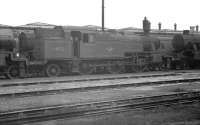 Stanier 3P 2-6-2T 40173 stands amongst other stored locomotives on Bangor shed in April 1963. 40173 had been officially withdrawn from here 9 months earlier.<br><br>[K A Gray 01/04/1963]