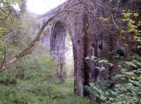 Could almost be a work of nature - part of Lambley viaduct - seen from the west side, near Lambley station and junction [see image 5724]<br><br>[Ken Strachan 22/05/2014]