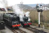 The GWR 51xx 2-6-2Ts are not small engines but 5199 is positively dwarfed by 9F 92214 at Llangollen on 15 March 2015. The green 2-10-0 was visiting from the Great Central for the <I>Steam, Steel and Stars Gala</I> and the duo had just double headed a train from Carrog. [See image 48951]<br><br>[Mark Bartlett 15/03/2015]