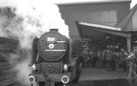 A2 Pacific 60528 <I>Tudor Minstrel</I> stands at Carlisle platform 3 on 23 April 1966 with the  'Altrinchamian Railway Excursion Society' <I>Waverley Special</I> - 8.45am Manchester Exchange - Edinburgh via Hawick [see image 35009].<br><br>[K A Gray 23/04/1966]