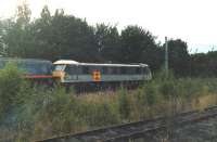 Railfreight Distribution 90036 laying over in the electrified run round stabling siding on the remaining section of the former Wrenthorpe Yard north of Wakefield Westgate in July 1999. The locomotiove was on a GNER passenger working that had terminated at Wakefield, rather than being diesel hauled through to Leeds via Normanton, during engineering works on the direct route. 90036 is in a unique RfD 'Sybic' livery with full wrap around yellow on each cab front.  <br><br>[David Pesterfield 20/07/1999]