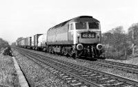 Brush Type 4 No 1970 runs downgrade near Carlowrie Farm, south of Dalmeny (one of he towers of the Forth Road Bridge can just be discerned through the cutting immediately to the right of the Dalmeny Junction down distant). The train is the 11:50 FX Aberdeen to Kings Cross Freightliner service and the date is thought to be April 1972.<br><br>[Bill Jamieson /04/1972]