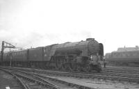 Copley Hill A1 Pacific no 60120 <I>Kittiwake</I> takes the 12.20pm summer Saturday Yarmouth - Leeds Central away from Doncaster. Thought to have been taken in July 1963.<br><br>[K A Gray /07/1963]