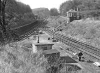Looking west over Winchburgh Junction from the high ground in the fork of the E&G and the Winchburgh Loop lines in the spring of 1972. The trackbed of the Myre Siding in the foreground has enabled the signalman to get to work in what looks to be some variant of the BMC 1100/1300. Interestingly there had at one time been a mineral line (described on the OS as a 'tramway') at the top of the cutting on the right; this had served Craigton Quarry.<br><br>[Bill Jamieson /04/1972]