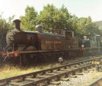 Billington 1897 ex LB&SCR Class E4 0-6-2T 473 <I>Birch Grove</I> (former BR 32473) stored in a siding south of Sheffield Park station in July 1969, in the early days of the Bluebell Railway. Wainwright 1904 SE&CR Class H 323 <I>Bluebell</I> stands beyond.<br><br>[David Pesterfield 15/07/1969]