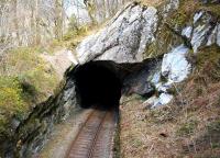 The 148 yard  Pont-y-Pant Lower tunnel, seen here from the station approach lane overbridge, still appears unlined but has been rock bolted and netted internally in recent years. <br><br>[Colin McDonald 14/04/2015]