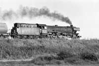 Late on the afternoon of 6th September 1974 oil-fired 2-8-2 042 364 heads south along the then single-track section of the Emsland line between Haneckenfaehre and Elbergen with a tank train from the oil refinery at Holthausen, near Lingen just a few miles to the north.<br><br>[Bill Jamieson 06/09/1974]