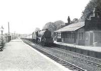 Black 5 45490 about to run through Dailly, between Girvan and Maybole, on 15 August 1959 with a Stranraer Harbour - Glasgow St Enoch express. Dailly station closed in September 1965. [Ref query 9492]<br><br>[G H Robin collection by courtesy of the Mitchell Library, Glasgow 15/08/1959]