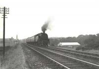 Motherwell based Fairburn 2-6-4T 42203 eastbound approaching Tollcross station in July 1961 with a Maryhill - Whifflet train. Tollcross Park is on the right while on the left are playing fields alongside the Macfarlane Lang Victoria Biscuit works, the tall chimney of which is obscured by the telegraph pole. [Ref query 5370]<br><br>[G H Robin collection by courtesy of the Mitchell Library, Glasgow 22/07/1961]