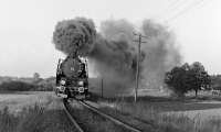 2-10-0 No. Ty45-379 storms away from Kopanica on the Wolsztyn to Sulechow line and heads for the next stop at Chwalim. The 15:52 departure from Wolsztyn was more likely to be worked by an Ol49 2-6-2, so it was a nice surprise to see it worked by this loco, the last operational survivor of a class of 448 built in the immediate post-war years. That said, the use of a 2-10-0 on a two coach local was quite common throughout central Europe.	<br><br>[Bill Jamieson 09/10/1990]