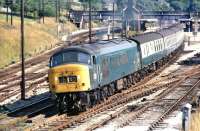 Peak No. 36, an early example with a split centre head-code box, pulls away from the Chinley stop on 21 September 1971 with the 08:35 St. Pancras to Manchester Piccadilly. The time is just after 12:30, signifying a protracted journey from London, but for anyone who was determined to depart from St Pancras rather than Euston, the journey could be cut by half an hour by using the down Thames-Clyde Express and changing at either Leicester or Chesterfield.<br><br>[Bill Jamieson 21/09/1971]