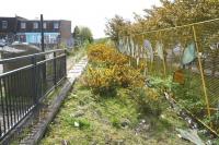 Back to nature. Scene at the former Bathgate single line terminus on 15 May 2015 [see image 20316]. Opened in March 1986, the station closed in October 2010 on the opening of the current through station. <br><br>[John Furnevel 15/05/2015]