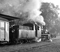 PKP 750mm gauge 0-8-0 No. Px48-1907 has just arrived at Sroda Miasto (Town) station on the 06:58 train from Zaniemysl - the housewives on the right heading for the shops of Sroda testify to the fact that in October 1990 this last surviving steam worked passenger service on the Polish narrow-gauge was still very much a part of the public transport network and not a 'heritage' operation.<br><br>[Bill Jamieson 04/10/1990]