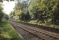 The disused twin platforms at Rhu looking west in April 1991. Opened in 1894 as Row the name change occurred in 1927. Closed between January 1956 and April 1960, final closure came in June 1964. [Ref query 11228] <br><br>[Ewan Crawford /04/1991]