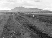 The remains of Niddrie West yard on 9 April 1982.  The connection to NCB Niddrie Landsale Yard has recently been lifted and the signalbox has been demolished. [See image 34323]<br><br>[Bill Roberton 09/04/1982]