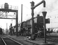 In the summer of 1975 it was still possible to do a rewarding steam shed 'bash' in the Ruhr industrial heartland of the then West Germany. I had a guide produced by the NELPG which gave directions to reach the sheds and this proved most useful, aided by the typical ex Prussian Railways spherical water tanks which proclaimed a shed's existence from afar. Oberhausen Osterfeld Sd was one such shed visited on the afternoon of Saturday 30th August 1975, and here we see a group of class 50 2-10-0s clustered outside the shed, all in steam although it is unlikely they would move again until early on the following Monday morning. 051.225 is prominent while 050.232 stands behind and 052.545 has its water replenished on the left.<br><br>[Bill Jamieson 30/08/1975]