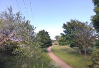 Looking east from the bridge at Anstruther Junction in 2015 towards the sites of the two stations. Straight ahead then slightly left for New, to the right for Old. The playpark in the distance I would judge to be roughly where B1 61132  was standing in August 1965 [see image 21297]. The site once occupied by the Old station and yards is now covered in housing and green spaces while New is covered in industrial units.<br><br>[Colin Miller 14/06/2015]