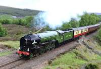 60163 <I>Tornado</I> makes light work of the gradient up to Slochd Summit on 20 June with <I>'The Highland Rambler'</I> for Inverness. In the background is Slochd Viaduct.<br><br>[John Gray 20/06/2015]