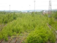 The afforestation of the former Healey Mills Marshalling Yard is coming along nicely, as seen in this view west from Storrs Hill Road over-bridge on 16 June 2015.<br><br>[David Pesterfield 16/06/2015]