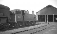 Drummond M7 0-4-4T no 30036 in the shed yard at Plymouth Friary in August 1961.<br><br>[K A Gray 17/08/1961]