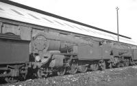 Locomotives awaiting disposal in the sidings at Eastleigh in September 1963. Centre stage is one of the five large Urie H16 Pacific tanks, no 30516, built for the LSWR in 1921/2. These so-called <I>Green Tanks</I> were used for hauling heavy cross-London transfer freights from Feltham yard. All five were withdrawn from Feltham shed in 1962 [see image 41498].<br><br>[K A Gray 25/09/1963]