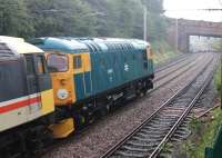 Class 26 26038 <I>Tom Clift 1954-2012</I> brings up the rear on a convoy of preserved diesels seen at Hest Bank on 13th July heading back to Bo'ness after the 2015 ELR Diesel Gala [See image 51953]. The last time I had seen a BRCW Type 2 on the WCML was in 1987 when a convoy of four Class 27s heading for the Vic Berry scrapyard passed through Garstang. <br><br>[Mark Bartlett 13/07/2015]