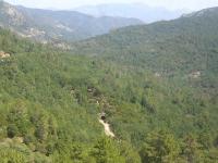 South of Corte, the track makes two 180 degree turns to gain height in the mountains - the highest point on the railway is over 800 metres. Seen north from Vivario station on 10 July is the portal of the Fercalo tunnel through which the train passed 7 minutes earlier.<br><br>[John Thorn 10/07/2015]