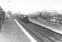 A Maryhill - Whifflet train approaching the platfom at Langloan on 1 August 1961. In charge is Motherwell based Fairburn 2-6-4T no 42203.<br><br>[G H Robin collection by courtesy of the Mitchell Library, Glasgow 01/08/1961]