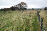 Poneil Junction looking east in 2004, with the Muirkirk and Lesmahagow Junction Railway branching off to the left and the Caledonian's main Muirkirk line to the right.<br><br>[Ewan Crawford 24/10/2004]