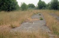 View to the east from the disused westbound platform at Crieff station in 1988. The track was to the left. Crieff's original station was out of shot off to the right, it became a goods depot on opening of the line to Comrie.<br><br>[Ewan Crawford //1988]