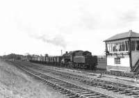Standard Mogul 76097 at Belston Junction on 24 May 1962 with a train of coal empties from Ayr destined for Polquhairn Colliery. [Ref query 5634]   <br><br>[G H Robin collection by courtesy of the Mitchell Library, Glasgow 24/05/1962]