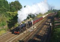 Black 5 no 45231 brings the outward leg of <I>The Fellsman</I> railtour towards Farington Curve Jct on 12 August 2015. The loco has just passed the new 'lollipop' signal with LED lights.<br><br>[John McIntyre 12/08/2015]