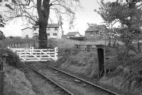 Prestonhall level crossing on the Auchmuty (Tullis Russell) branch in October 1984.  Note the decrepit hut!<br><br>[Bill Roberton 28/10/1984]