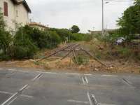 Looking in an easterly direction from the disused level crossing on Avenue Camille Guerin, showing the transition of the extant but overgrown former branch line, running north from near Adge, from a single track into a long passing loop to serve the station sited some 500m behind view. [See image 52923] for view in opposite direction<br><br>[David Pesterfield 08/08/2015]