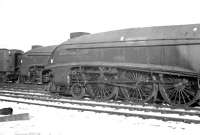 A trio of A4 Pacifics standing in the snow awaiting their fate at Doncaster Works in January 1963. Nearest the camera is 60028 <I>Walter K Whigham</I>, withdrawn from 34A the previous month and cut up here a few days after this photograph was taken. For a view of 60028 in happier times [see image 37761].<br><br>[K A Gray /01/1963]