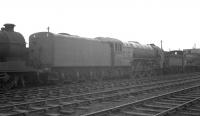 A2 no 60537 <I>Bachelor's Button</I> stands in the 'locomotives awaiting disposal' sidings at Bathgate on 28 March 1964. Withdrawn from St Margarets at the end of 1962 after just over 14 years service, the Pacific was eventually cut up at Messrs Henderson of Airdrie in June 1964. For a view of the locomotive in its heyday [see image 30174].<br><br>[K A Gray 28/03/1964]