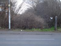 Looking east to the overgrown section of trackbed, running between housing from Painthorpe Lane to the former Crigglestone Colliery site a few hundred metres beyond, as compared to the view looking west [See image 53369]. An old wooden gatepost is still in place in this view of March 2015. <br><br>[David Pesterfield 25/03/2015]