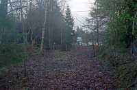 The end of the platform (right) at Strathblane in 1990 looking east over the former station site. [See image 9073].<br><br>[Ewan Crawford //1990]