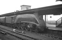 A4 Pacific 60016 <I>Silver King</I> stands alongside platform 15 at York station with a down ECML service in the 1960s. <br><br>[K A Gray //]