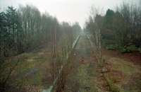 In 1996 Alyth Junction station remained virtually intact save for the absence of the main station buildings. The Alyth branch platform (to the left) and the mainline platforms are obvious in this view. The through Alyth-Newtyle platform was even further to the left. View looks towards Aberdeen. Note, on the right, the distinct step up from low (nearer) to higher platform. [See image 9200].<br><br>[Ewan Crawford //1996]