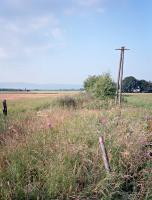 Looking to the Clippens Oil Works on the branch from Blackstone Junction, Georgetown (on the Paisley-Bishopton-Greenock line).<br><br>[Ewan Crawford //1987]