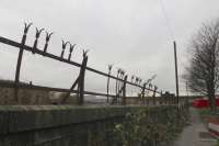 Remains of Caledonian Railway security fencing atop the wall of the former goods depot. No need for CCTV, just seek out the individual with 'life-changing injuries'.<br><br>[Colin Miller 05/01/2016]