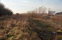 The remains of Calder station looking west in 2001. The trackbed reverted to nature pretty rapidly after closure of the line to Imperial Steelworks in 1990.<br><br>[Ewan Crawford //2001]