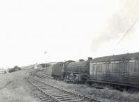 B1 61352 about to enter Newmachar on 15 August 1960 with empty stock destined for Ellon.<br><br>[G H Robin collection by courtesy of the Mitchell Library, Glasgow 15/08/1960]