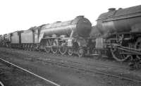 Gresley A3 Pacific 60062 <I>Minoru</I> stands face to face with V2 2-6-2 60872 <I>King's Own Yorkshire Light Infantry</I> in the shed yard at Doncaster in 1963.<br><br>[K A Gray //1963]