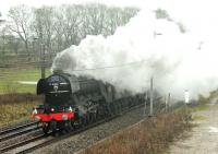 <h4><a href='/locations/M/Milnthorpe'>Milnthorpe</a></h4><p><small><a href='/companies/L/Lancaster_and_Carlisle_Railway'>Lancaster and Carlisle Railway</a></small></p><p>The inaugural public run of restored 60103 <I>Flying Scotsman</I> on 6th Feburary 2016 started in appalling weather but, despite this, vantage points were full of spectators. Soon after departure from Carnforth the A3 is seen approaching the over bridge at Elmsfield near Milnthorpe. The smoke deflectors are clearly needed for main line running - what would the view ahead at this point have been without them? 83/132</p><p>06/02/2016<br><small><a href='/contributors/Mark_Bartlett'>Mark Bartlett</a></small></p>